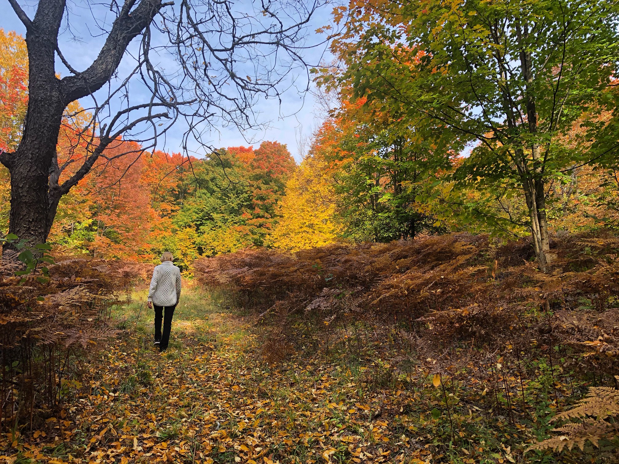 Barnum Trail In FallBM (002)