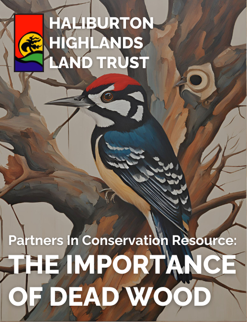 Hhlt Pic Resource Importace Of Dead Wood