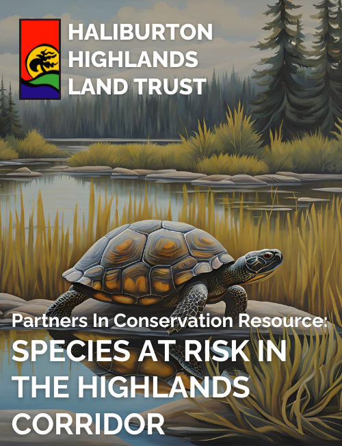 Hhlt Pic Resource Species At Risk