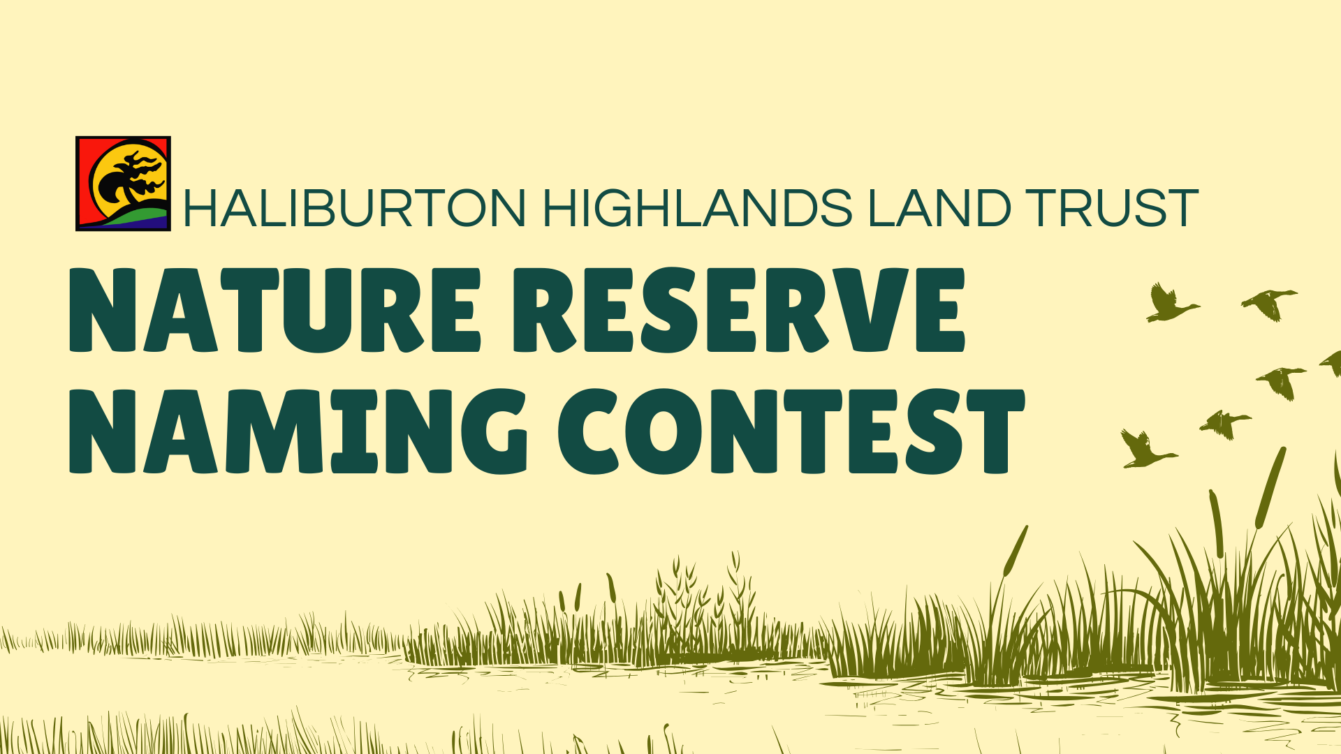 Campbell Naming Contest Website Banner