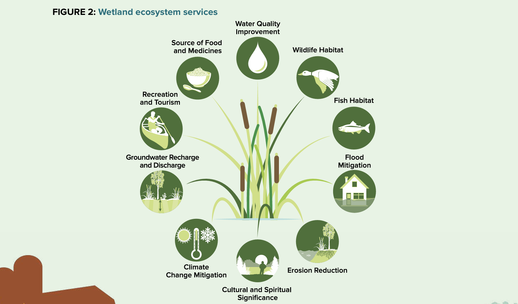 A wetland conservation strategy for Ontario 2017-2030