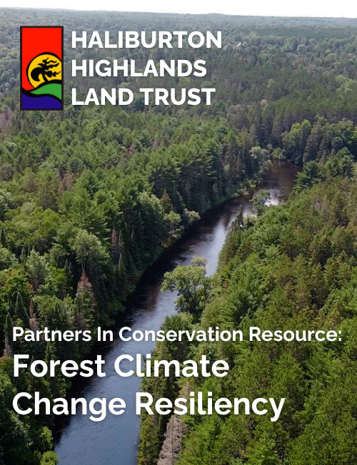 Forest Climate Change Cover