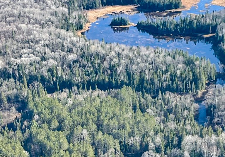 Hadlington wetlands from the air
